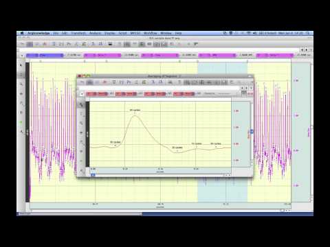 Scripting - Ensemble Average Segment