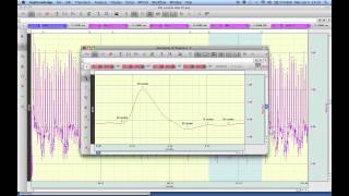 Scripting - Ensemble Average Segment
