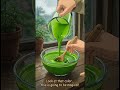 I Made Green Lava Mochi From Scratch 🌿✨ | Most Satisfying Food Video Ever