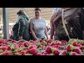 May 9 2026 Strawberry Sale Dnipro 