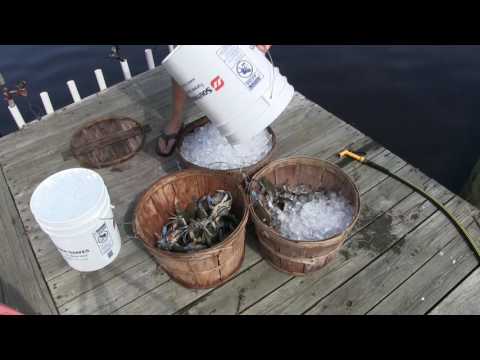 October Crabbing and Feasting in Ocean City, MD October Crabbing and Feasting in Ocean City, MD