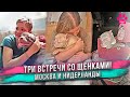 Три сестры приехали в новые дома! Реакция хозяев при встрече!