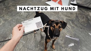 Nachtzug mit Hund: Von Wien nach Berlin