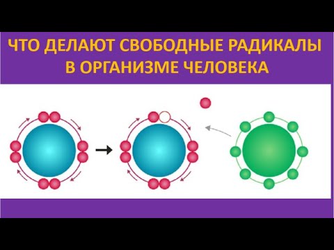 1. Что делают свободные радикалы в организме человека? - YouTube