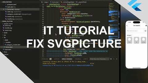 FIX SVG PICTURE | FLUTTER | ENGLISH PROJECT