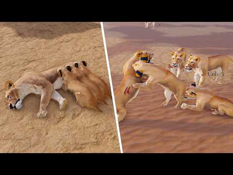 Raising Lion Cubs Into Alpha Lions! | ROBLOX Eternal Enemies
