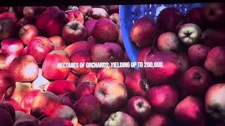 CIDER WORLD AWARD 2025 - Astor Film Lounge Frankfurt