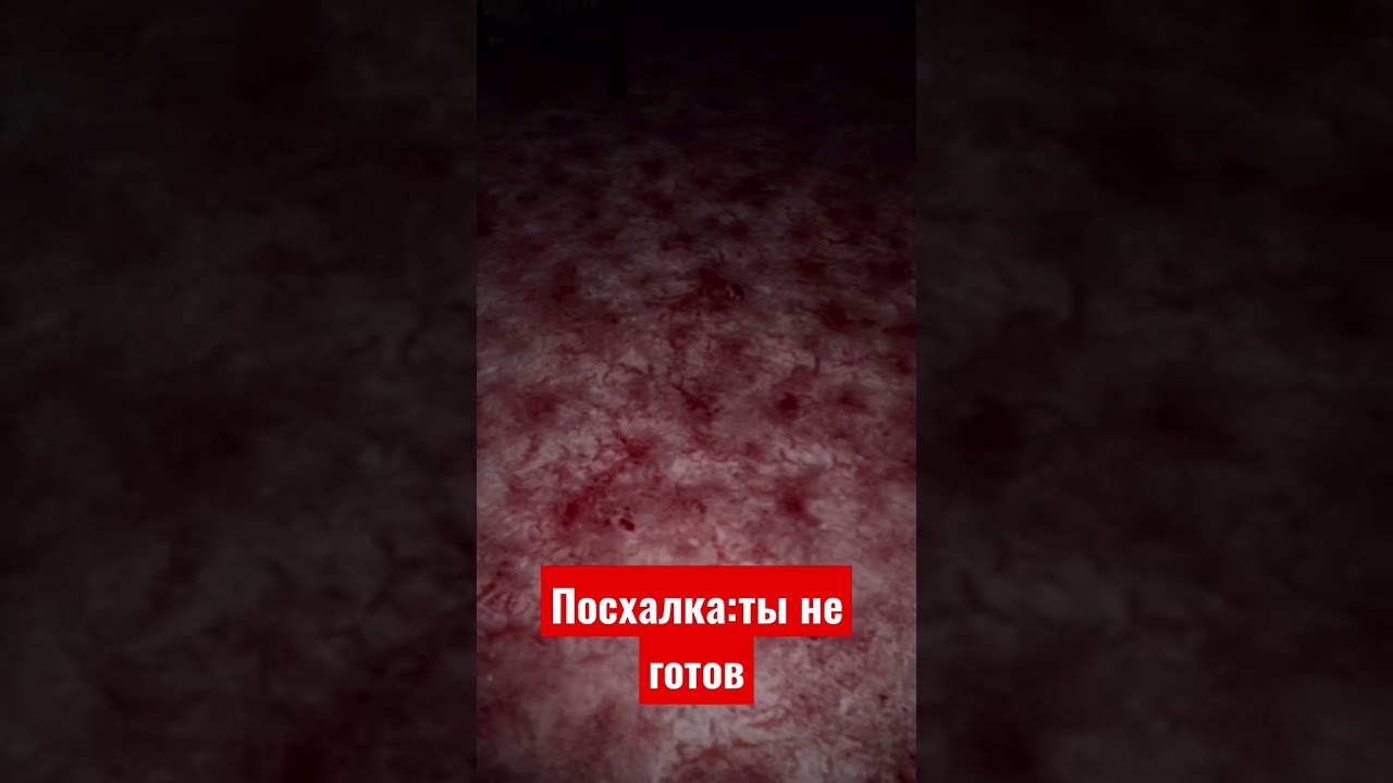 пасхалка:ты не готов case 2 animatronics mobile