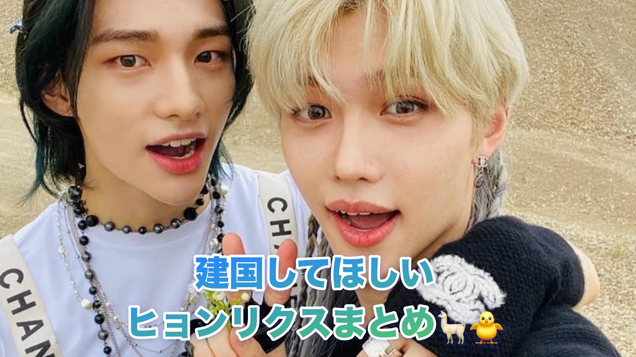 建国してほしいヒョンリクスまとめ🦙🐥
