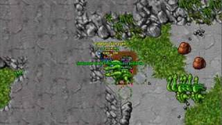 Tibia Hydra Tiquanda [EXP=MID] [LOOT=GOOD] (TASK ONLY)
