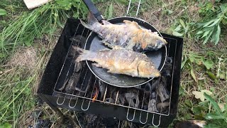 Ловля карася с ночевкой. КРУПНЫЕ КАРАСИ НЕ ДАЮТ СПАТЬ. Ловля карася с ночевкой. КРУПНЫЕ КАРАСИ НЕ ДАЮТ СПАТЬ.