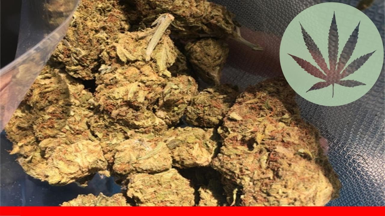 Big Wreck - All About This Strain