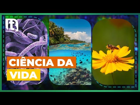 Vídeo: O Que A Ciência Da Algologia Estuda