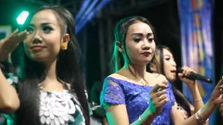 polisi - Om.DIGODA digoyang dangdut live