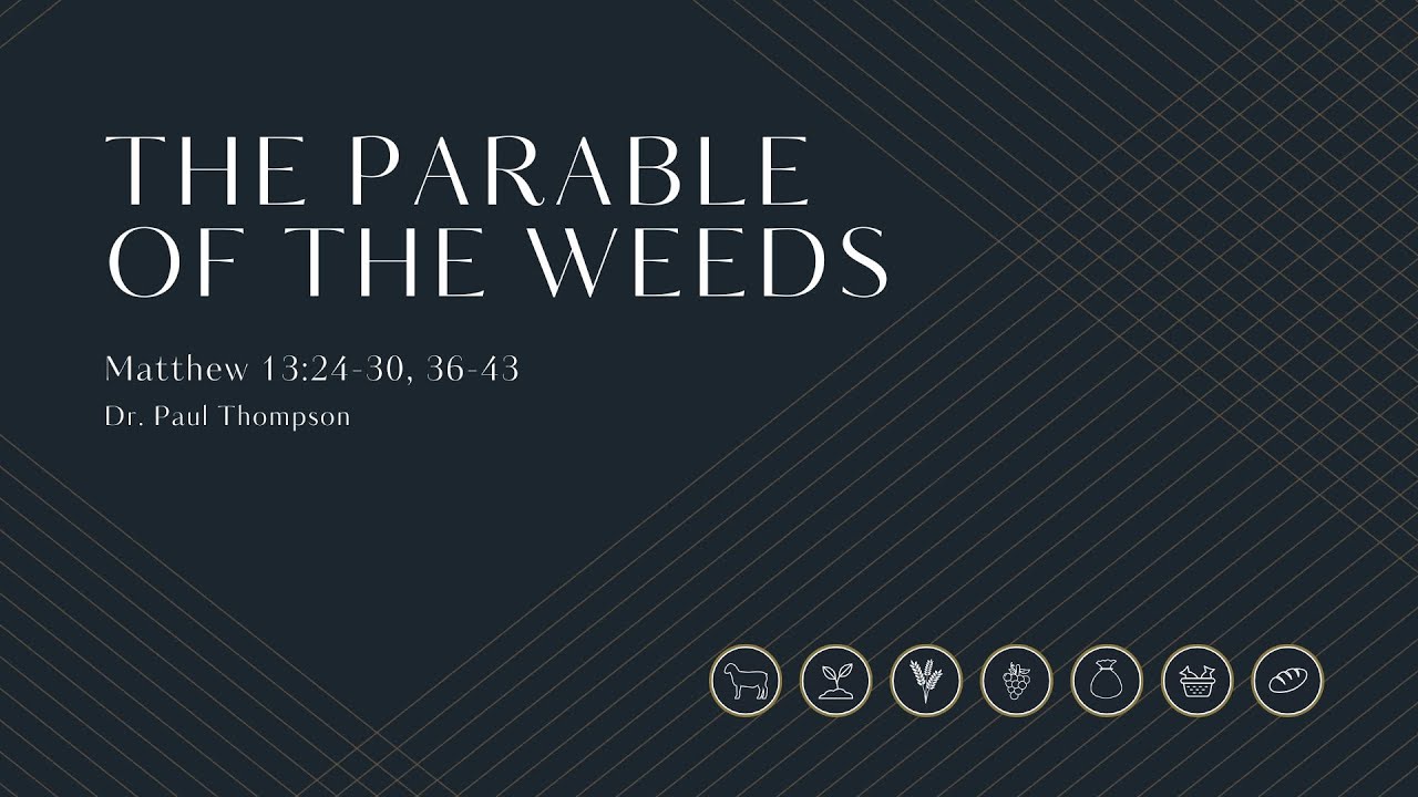 The Parable of the Weeds - Matthew 13:24-30, 36-43 - YouTube