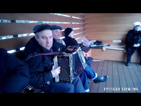 Старички танцуют под гармонь. Парк Кузьминки 2014.