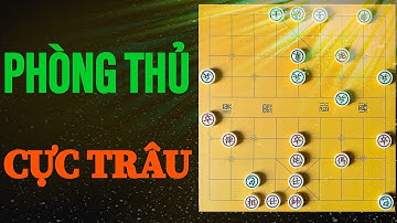 Cách Chơi Pháo Đầu Cực Mạnh của Thiên Tài Cờ Tướng Hứa Ngân Xuyên