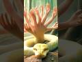 सांप के हैरान कर देने वाली कहानी #shorts #facts #snake