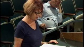7-18-17 St. Louis County Council Meeting