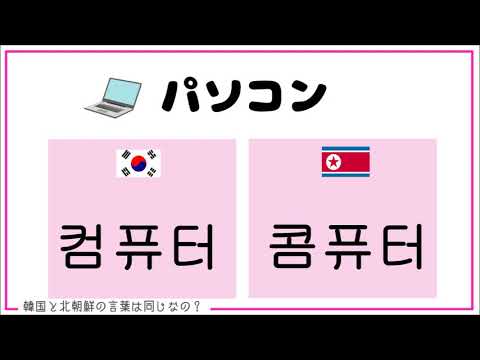 韓国と北朝鮮の言葉の違い Youtube