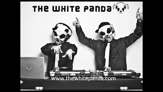 The White Panda - Why a G6 (Far East Movement // Supermode) Like A G6 Mashup