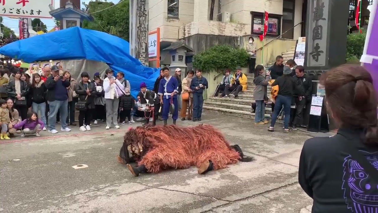 令和8年初舞(5)波上宮獅子舞保存会