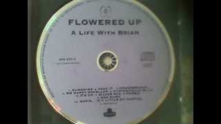 FLOWERED UP-TAKE IT[1991]{YT}.wmv