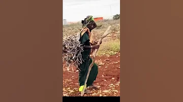 Nolol Adag Hooyinimo Shorts Musicclip Ciyaalxamar Duet Qarama Habesha News Fyp 