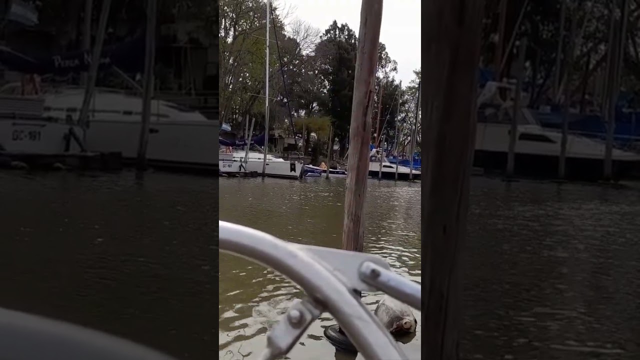 ⁣canal Sarandi, sonido ambiental