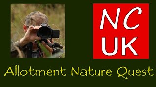 Allotment Nature Quest