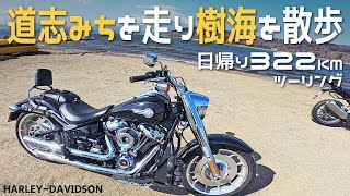 3月の道志みち＆樹海を巡るツーリング/ハーレー/バイク