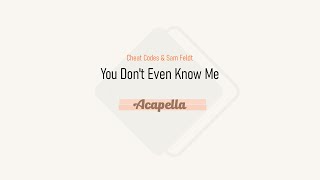 Cheat Codes & Sam Feldt - You Don't Even Know Me (Acapella)