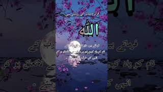 اللہ کا ذکر |قرآن وسنت کی روشنی میں |#islamic #short #islamicquotes #amazing #hadees #life #urdu