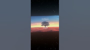 سورة النساء|145-146|القارئ:#محمد_اللحيدان  #قران #quran#راحة_نفسية#قران_كريم#تلاوة_هادئة#تلاوة_خاشعة
