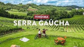 SERRA GAÚCHA e a famosa PISA das UVAS na Vindima no Rio Grande do Sul