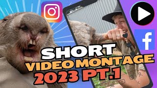 Enjoy our short video montage from 2023!  The Wildlife Twins by The Wildlife Twins 80 views 5 months ago 13 minutes, 52 seconds