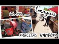 TODO ESTO ENCONTRE EN EL TIANGUIS // BUSCANDO MACETAS