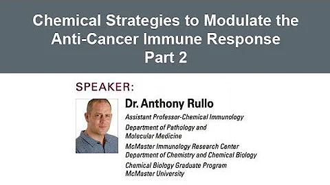 Dr. Anthony Rullo: Chemical Strategies to Modulate...