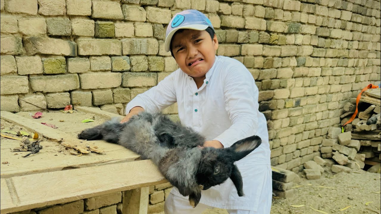 Hamara bht expensive Turkish rabbit 🐇 mar gaya 😭 Ali bht sad ho gaya