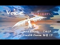 【初音ミク】Voice ～その声にあるから～ 【オリジナル】
