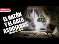 El Ratón y el Gato Asociados | Cuento de los Hermanos Grimm