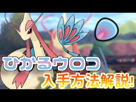 ソードシールド ヒンバスの種族値 わざ 特性など能力と入手方法 ポケモン剣盾 攻略大百科