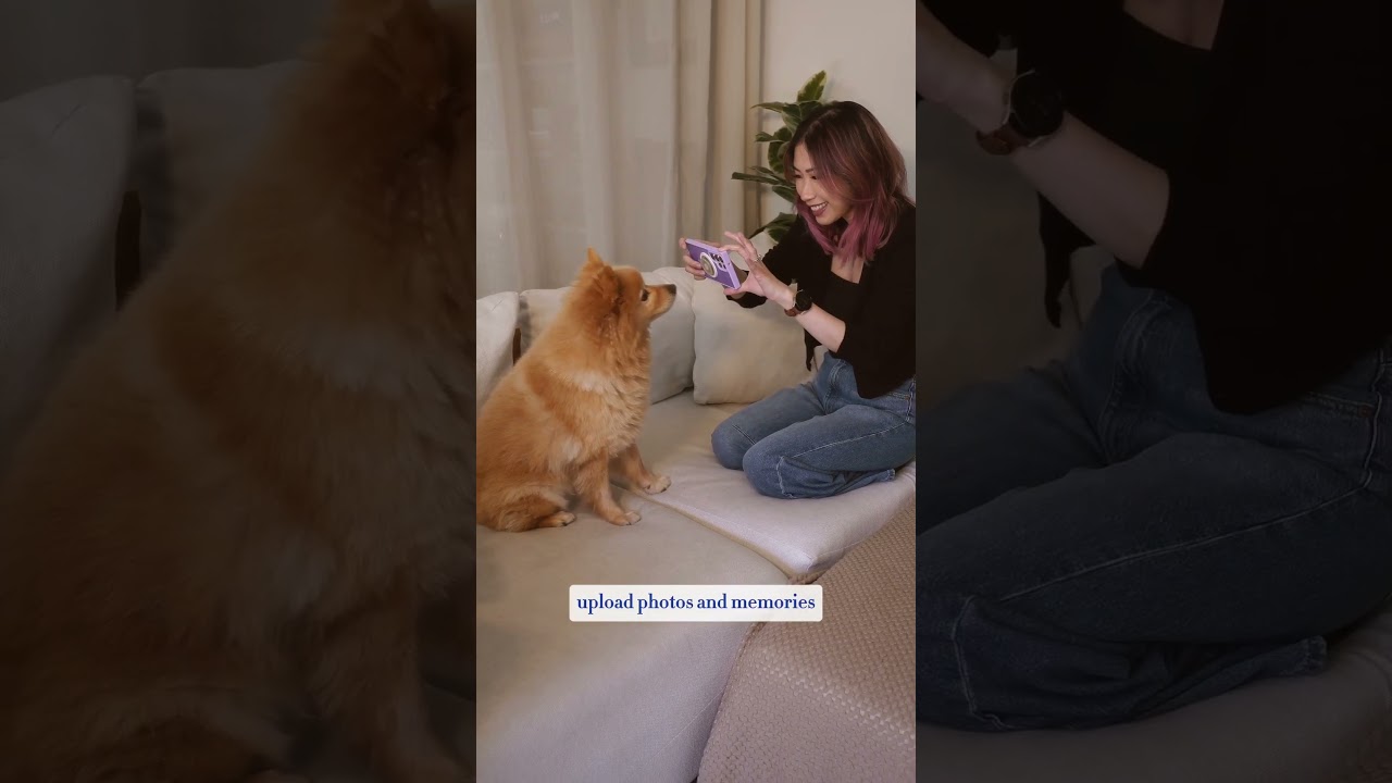 Trovvy app demo video