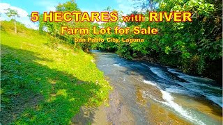 FARM LOT WITH RIVER FOR SALE  (Prop#142) 5 HECTARES, SAN PABLO CITY, LAGUNA
