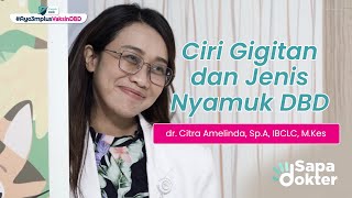 Ciri Gigitan dan Jenis Nyamuk DBD Oleh dr. Citra Amelinda, Sp.A, IBCLC, M.Kes
