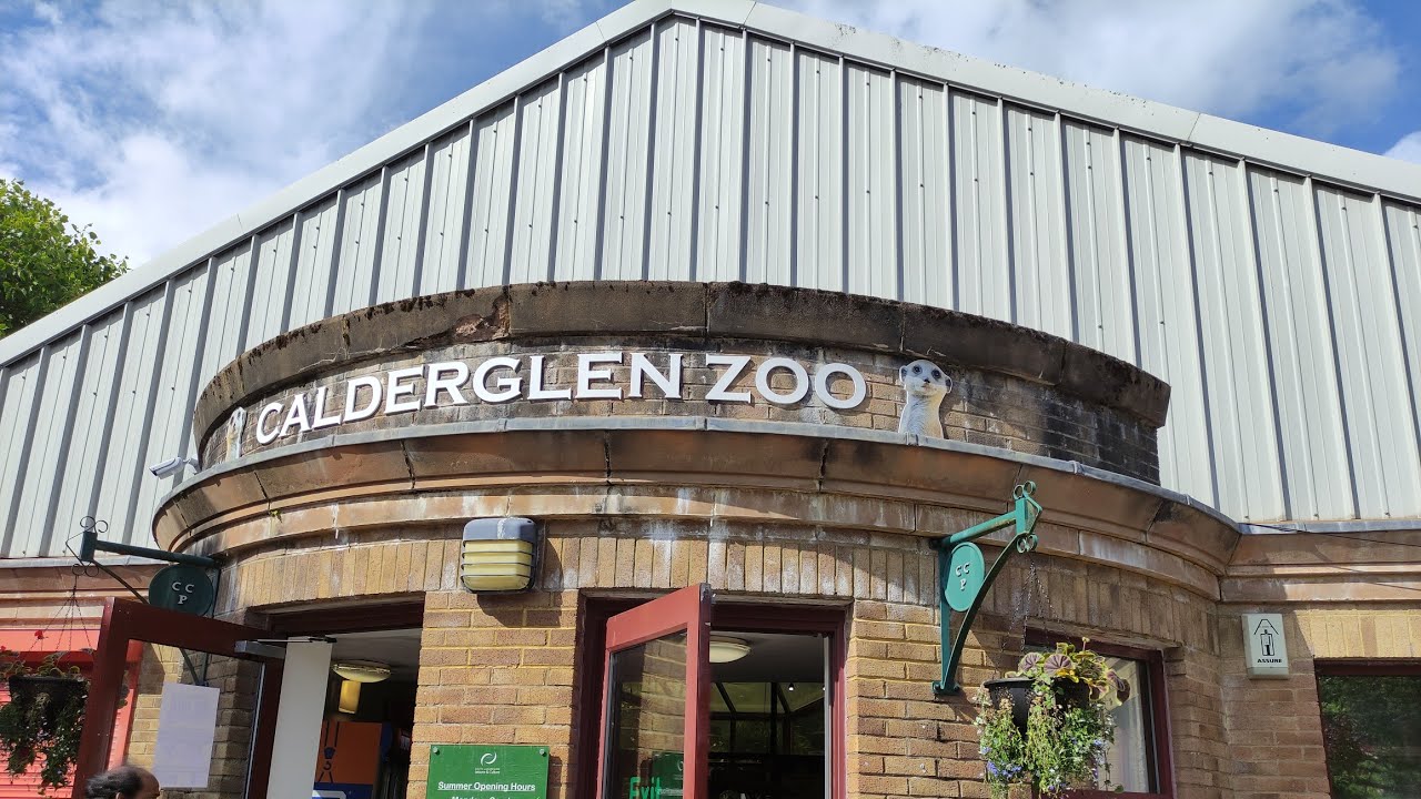 calderglen-zoo-mini-zoo-zoo-in-glasgow-calderglen-country-park-youtube