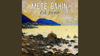 Kır Çiçeği Resimi