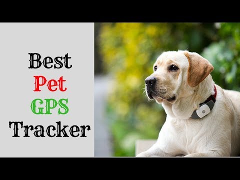 best-pet-gps-tracker-2019