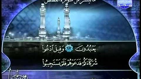 ماتيسر من سورة القصص الشيخ ياسر عبدالله