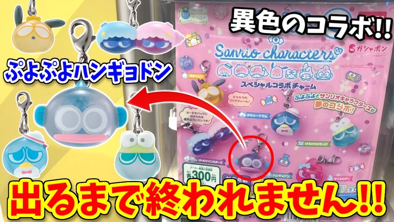 サンリオ】ぷよぷよコラボ！特別verの推しを当てろ！【ガチャガチャ
